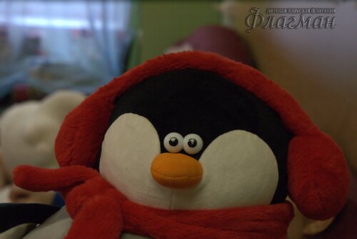 SONY DSC